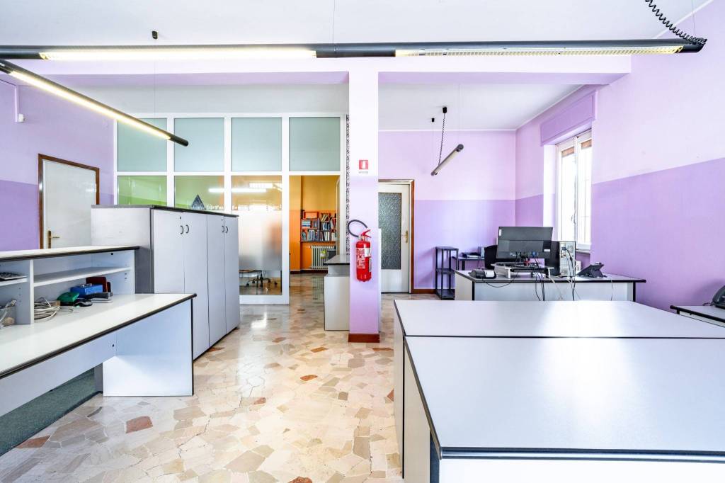 immagine annuncio 6 di 15