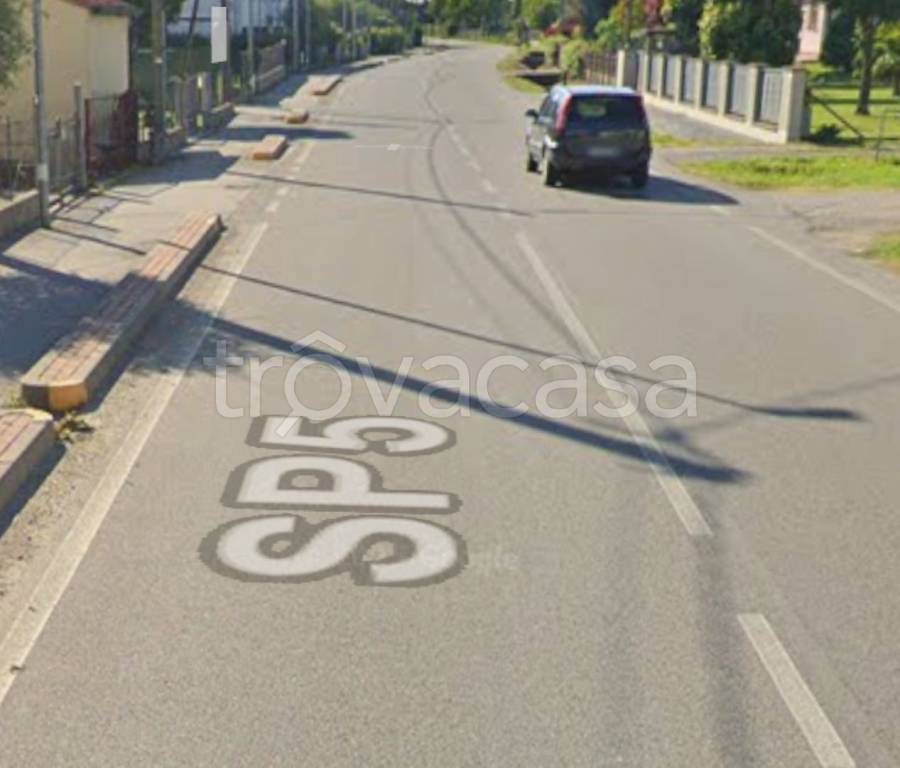 immagine annuncio 1 di 12