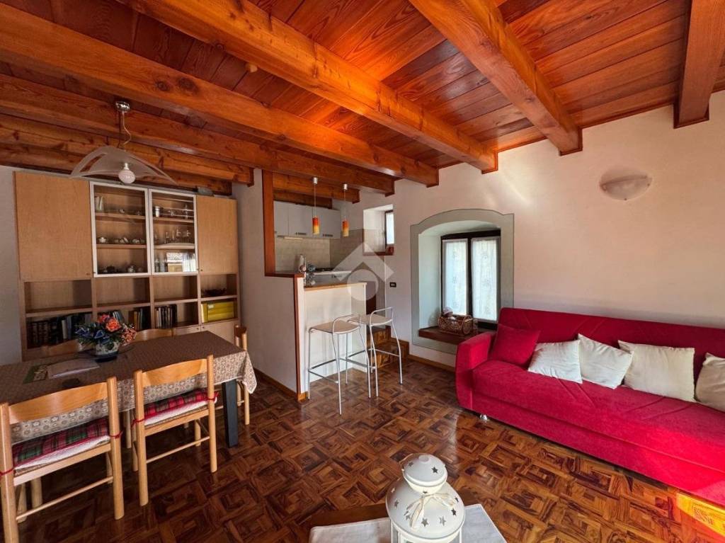 immagine annuncio 1 di 14