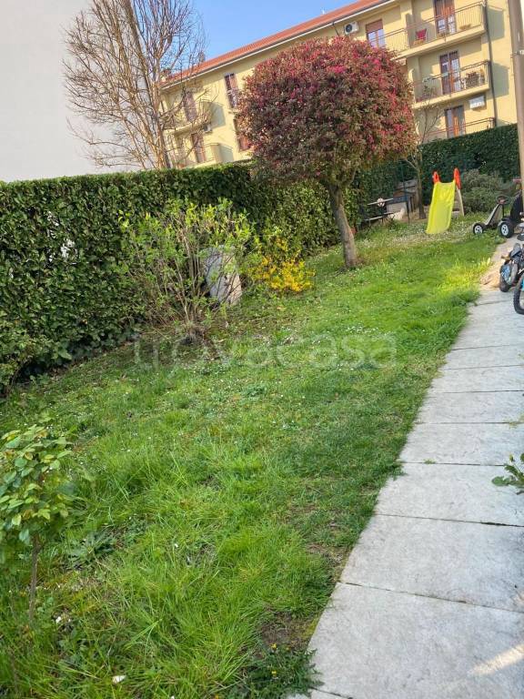 immagine annuncio 5 di 15