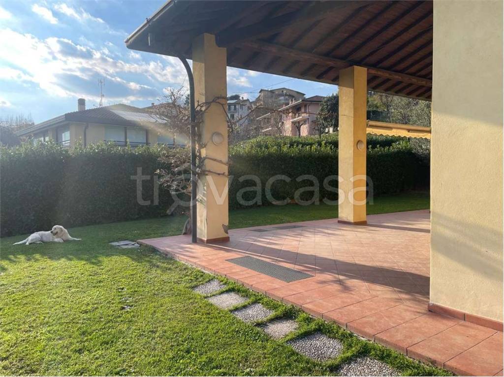 immagine annuncio 2 di 15