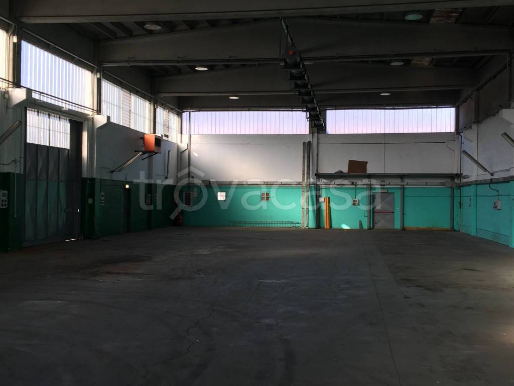 immagine annuncio 9 di 15