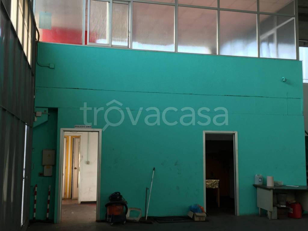 immagine annuncio 11 di 15