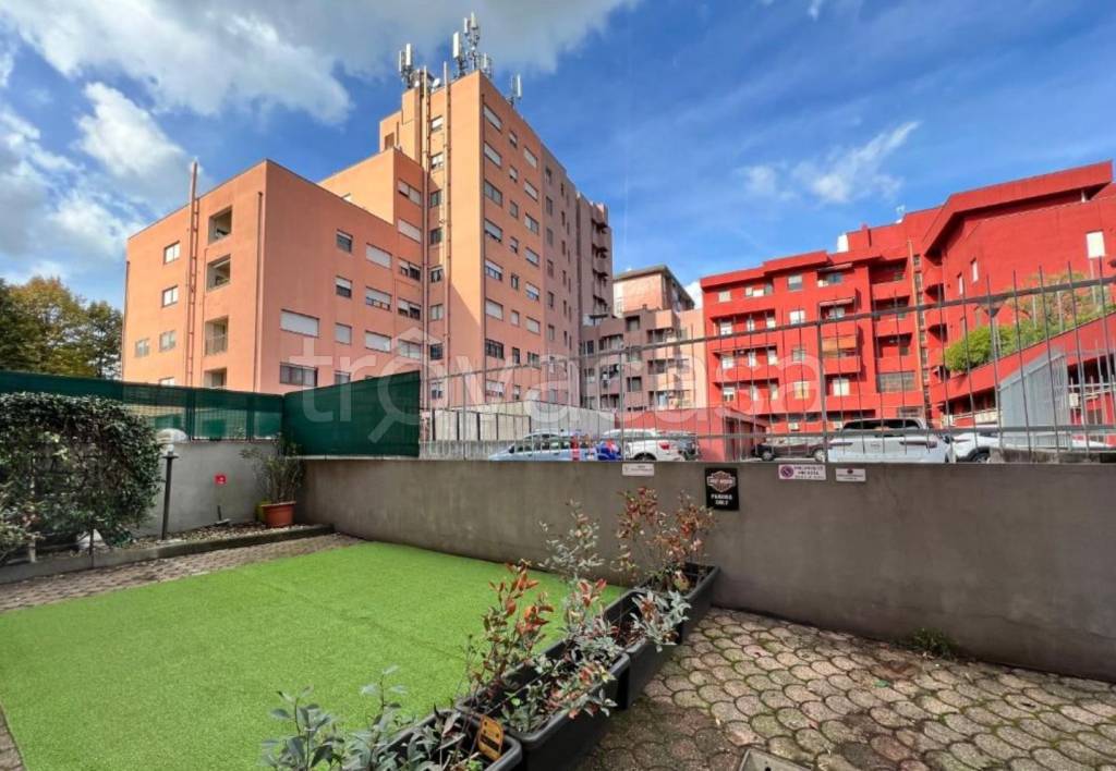 immagine annuncio 12 di 15