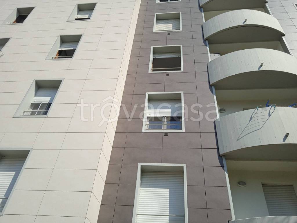 immagine annuncio 9 di 14