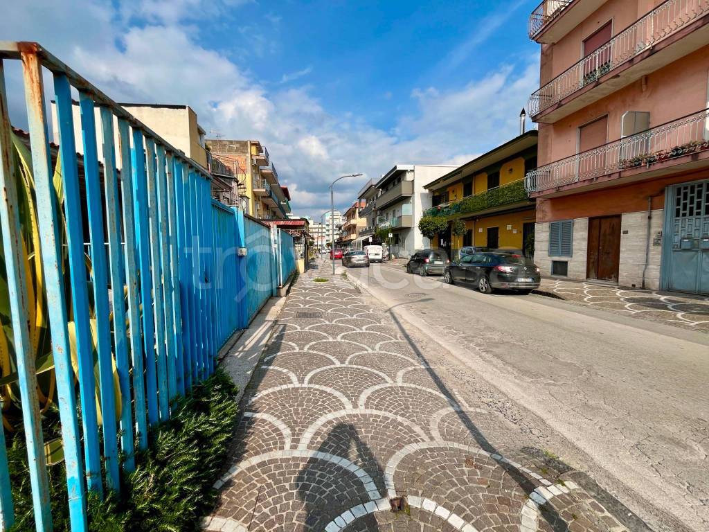 immagine annuncio 5 di 12