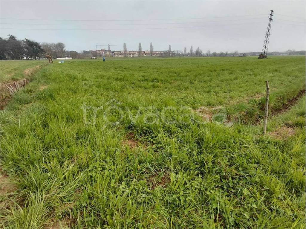 immagine annuncio 1 di 7