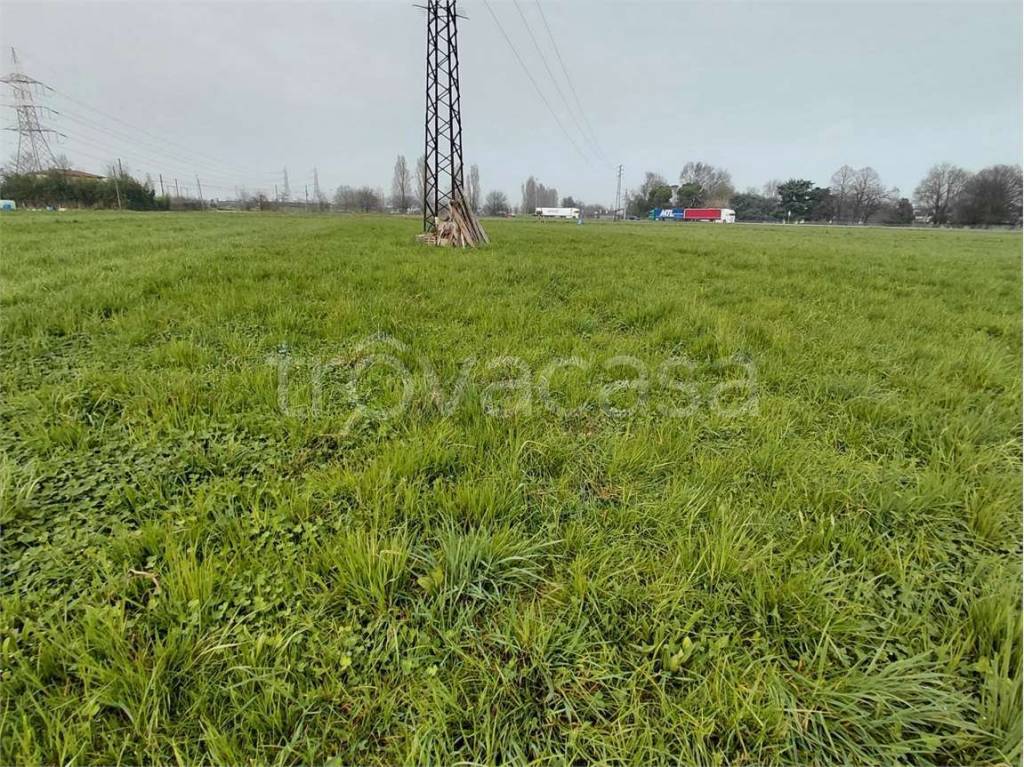 immagine annuncio 2 di 7