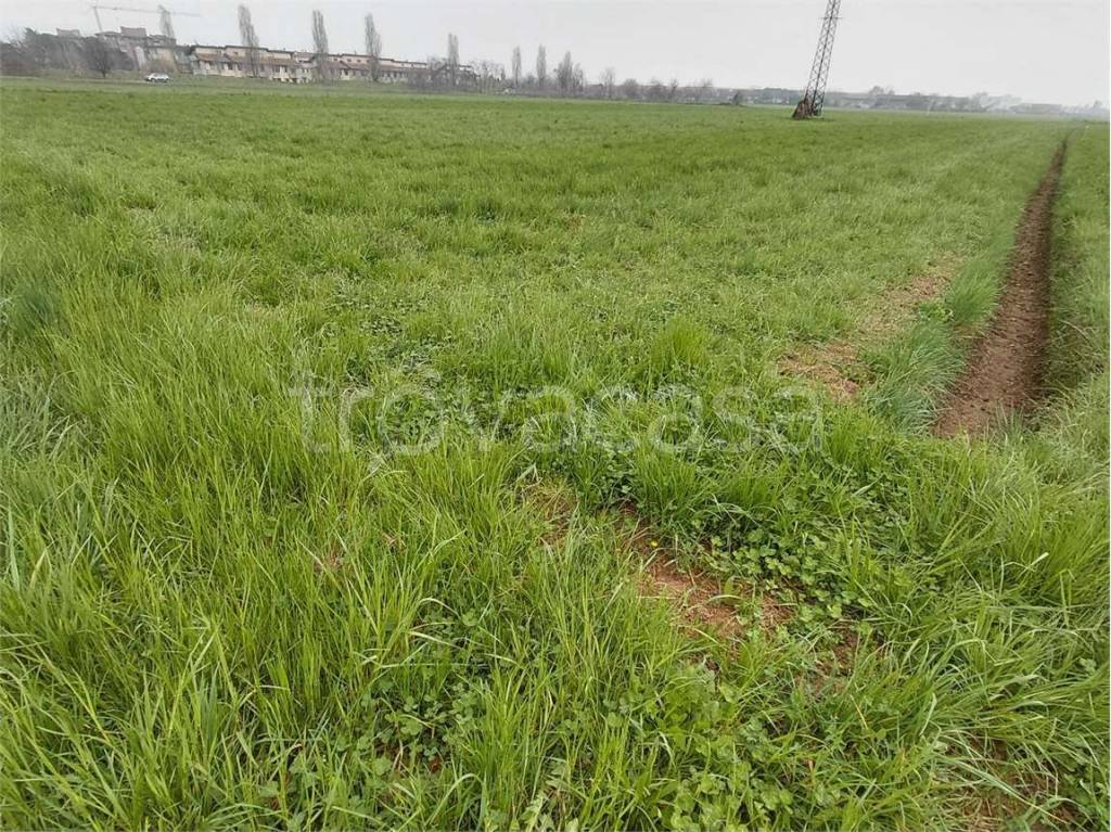 immagine annuncio 3 di 7