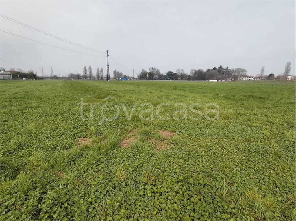 immagine annuncio 4 di 7