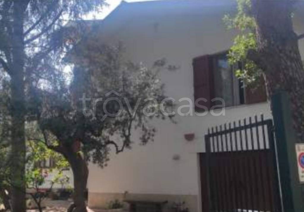 immagine annuncio 5 di 11