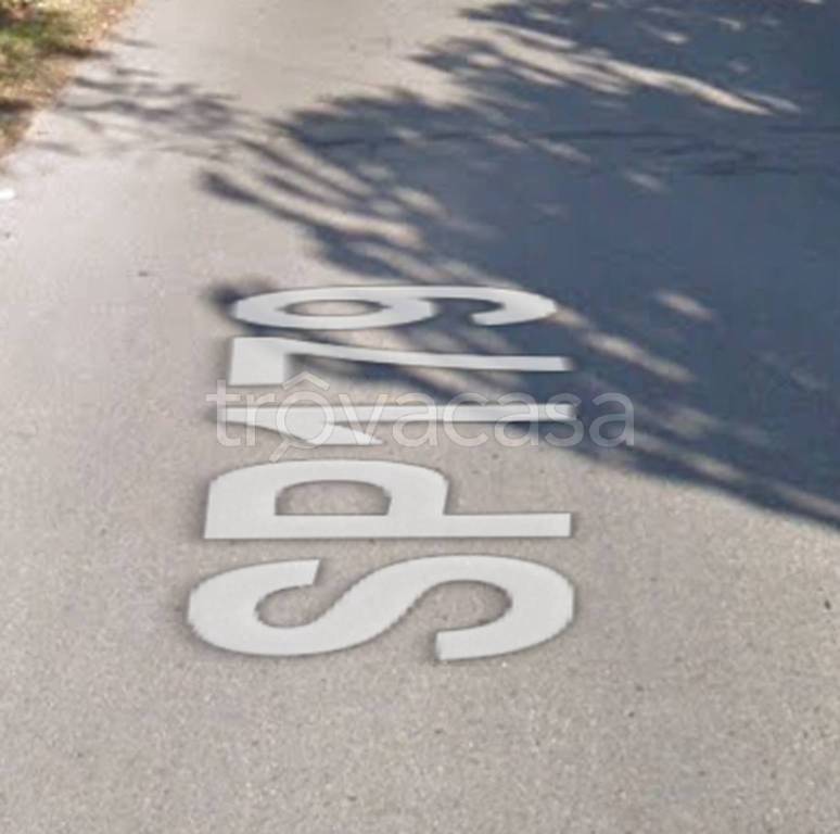 immagine annuncio 11 di 12