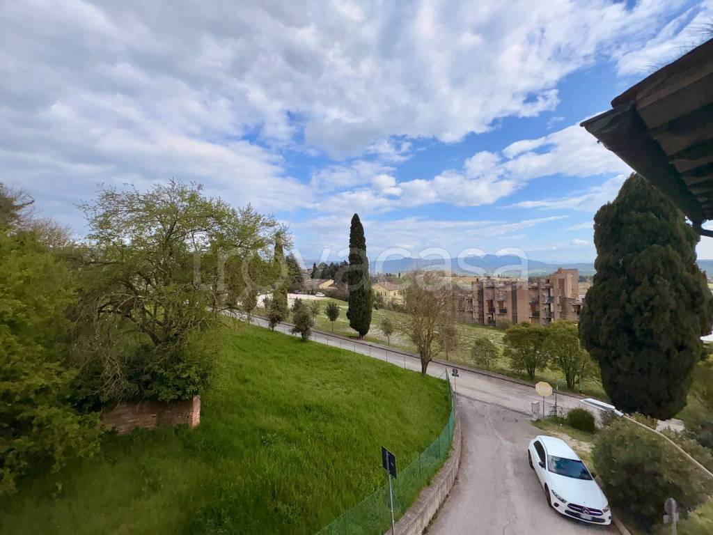 immagine annuncio 4 di 14