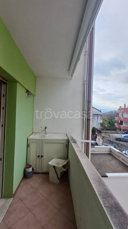 immagine annuncio 9 di 12