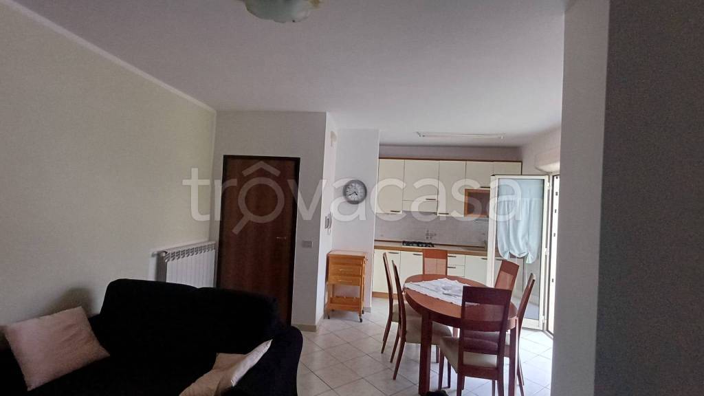 immagine annuncio 1 di 12