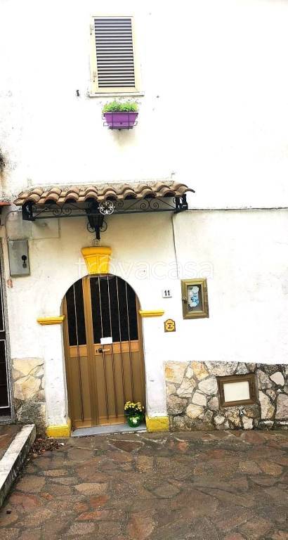 immagine annuncio 9 di 12