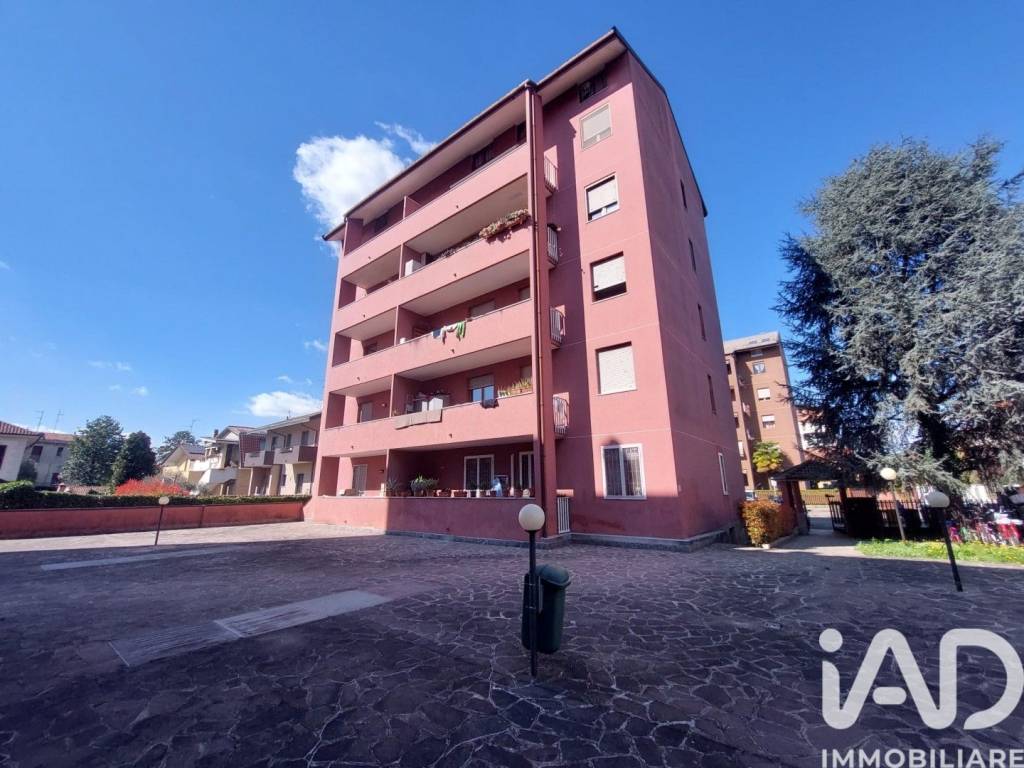 immagine annuncio 1 di 15