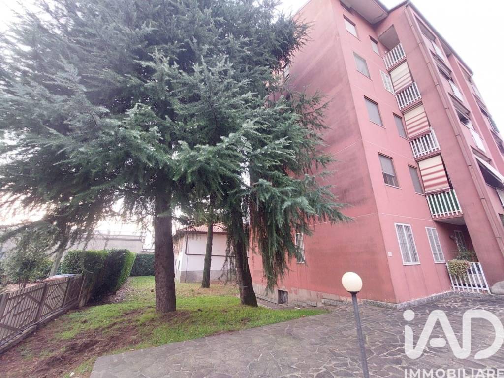 immagine annuncio 6 di 15