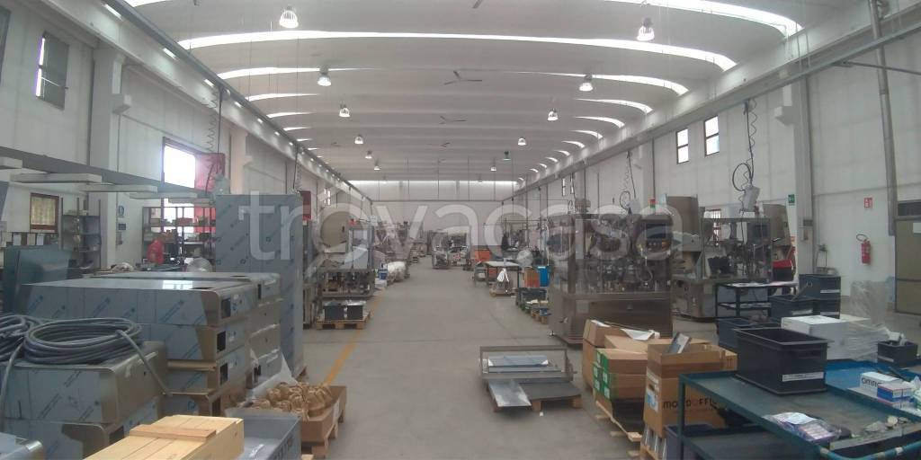 immagine annuncio 2 di 11