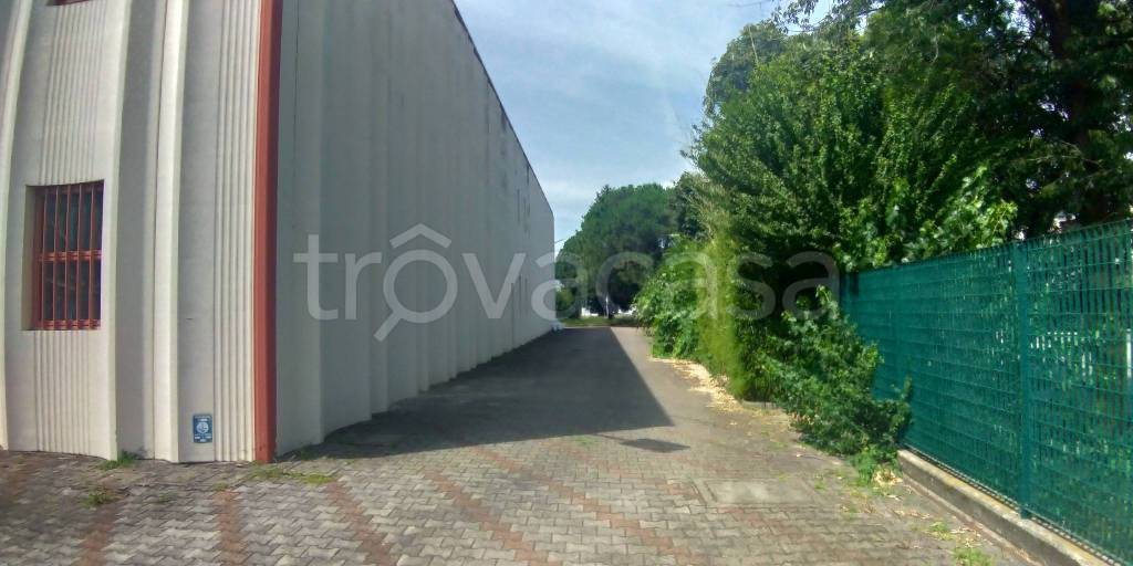 immagine annuncio 3 di 11