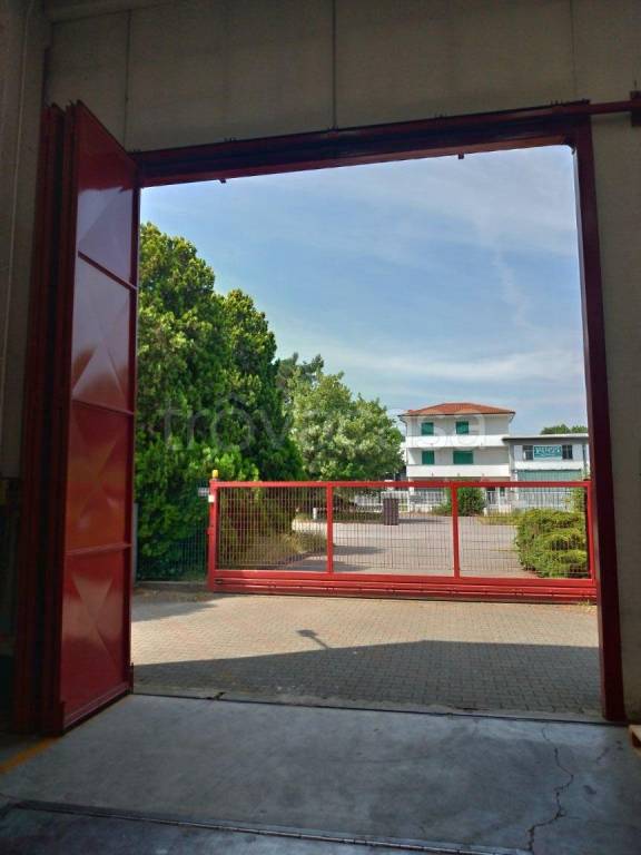 immagine annuncio 4 di 11