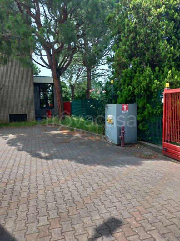 immagine annuncio 5 di 11