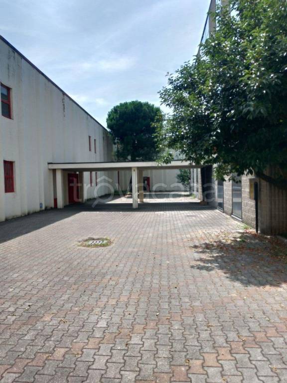 immagine annuncio 7 di 11