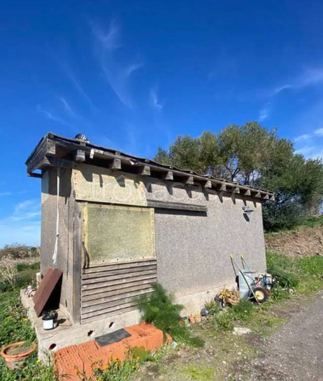 immagine annuncio 4 di 10