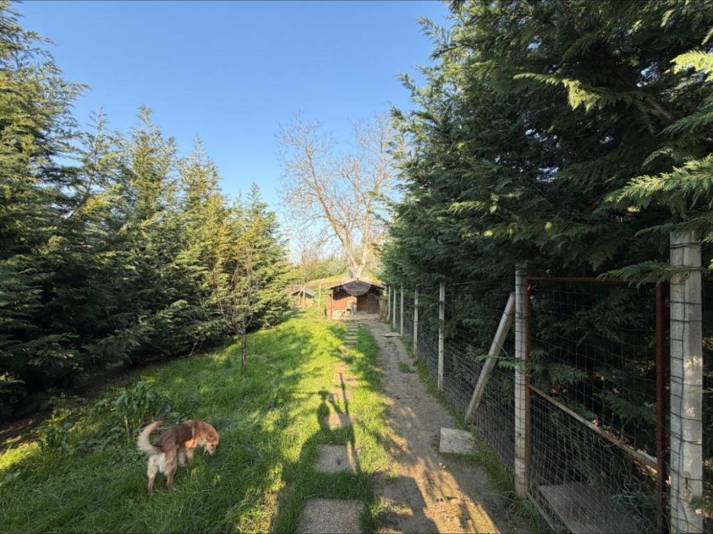 immagine annuncio 8 di 15