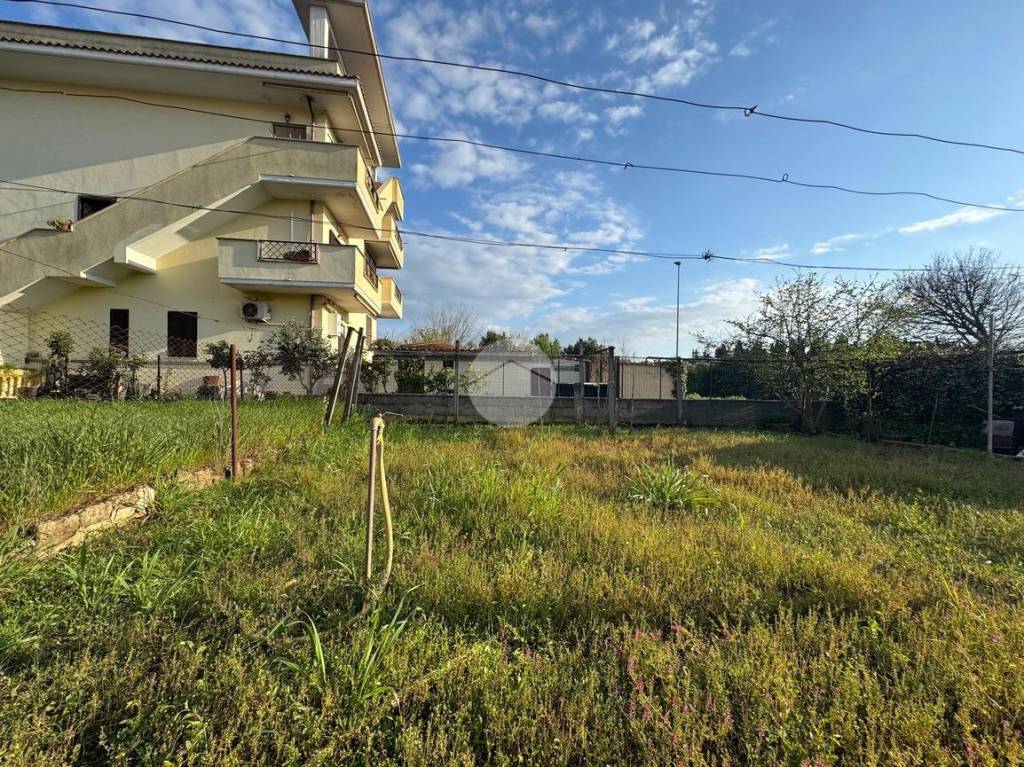 immagine annuncio 3 di 12