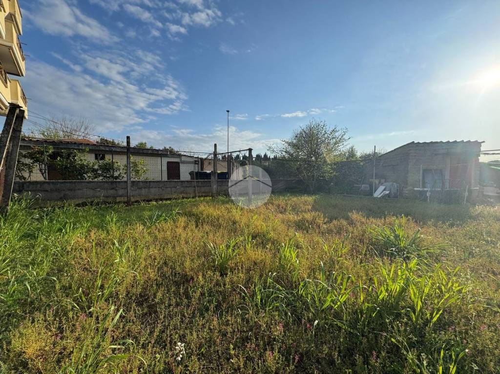 immagine annuncio 4 di 12