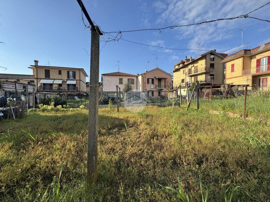 immagine annuncio 5 di 12