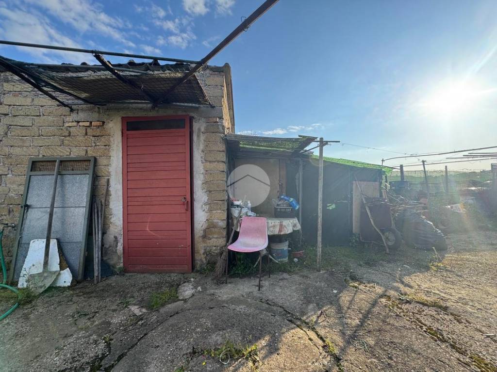 immagine annuncio 7 di 12