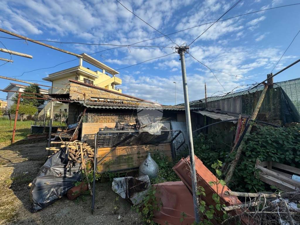 immagine annuncio 11 di 12