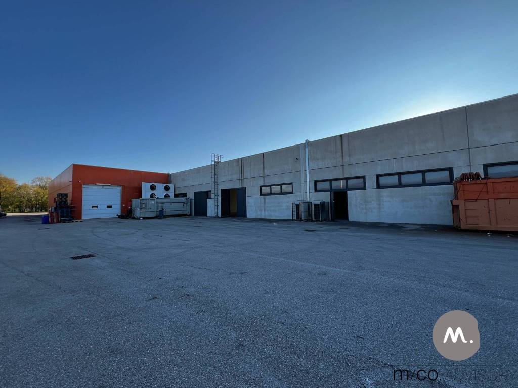 immagine annuncio 12 di 15