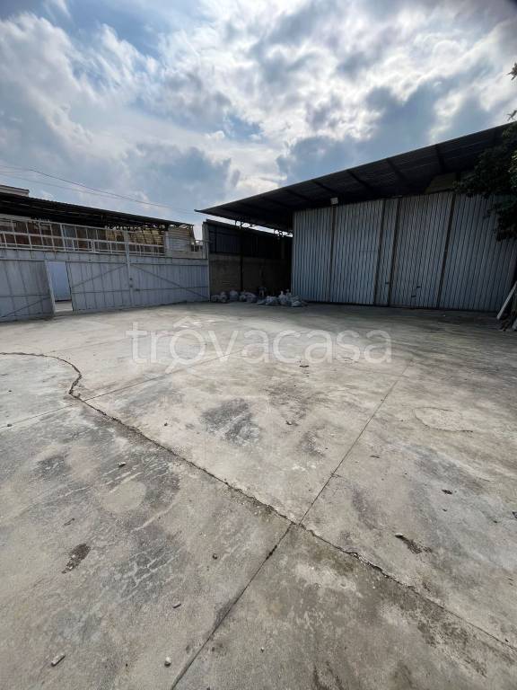 immagine annuncio 4 di 13