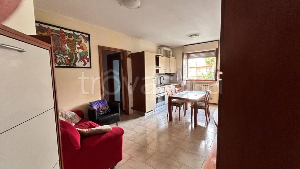 immagine annuncio 5 di 12