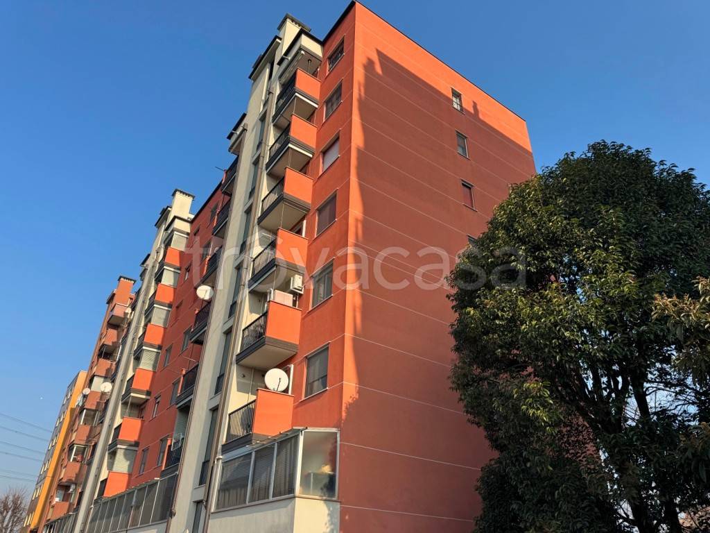 immagine annuncio 10 di 15