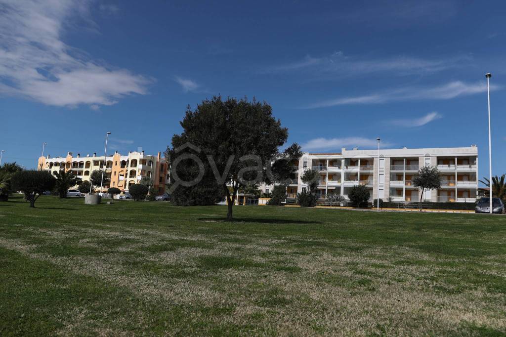 immagine annuncio 6 di 7