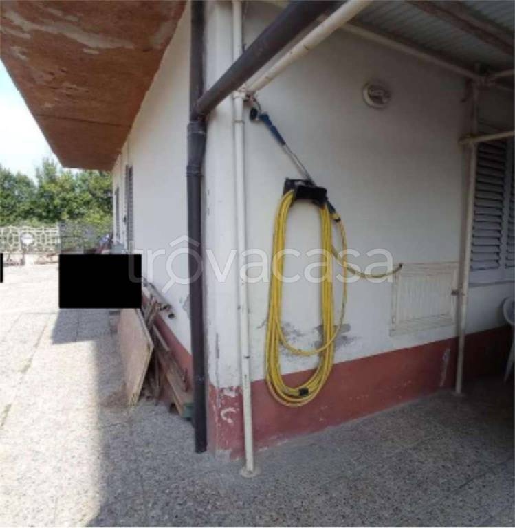 immagine annuncio 11 di 14