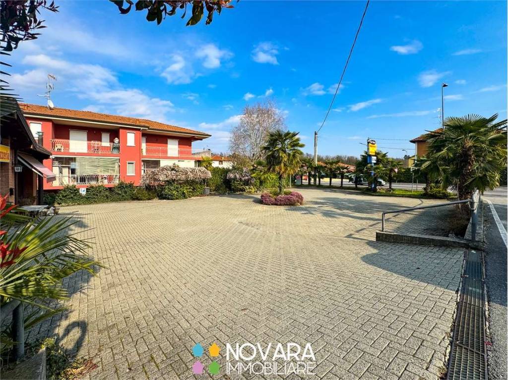 immagine annuncio 9 di 15