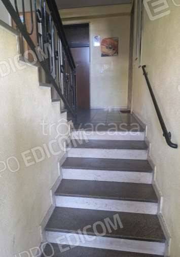 immagine annuncio 2 di 14