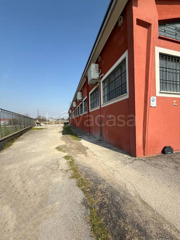 immagine annuncio 1 di 10