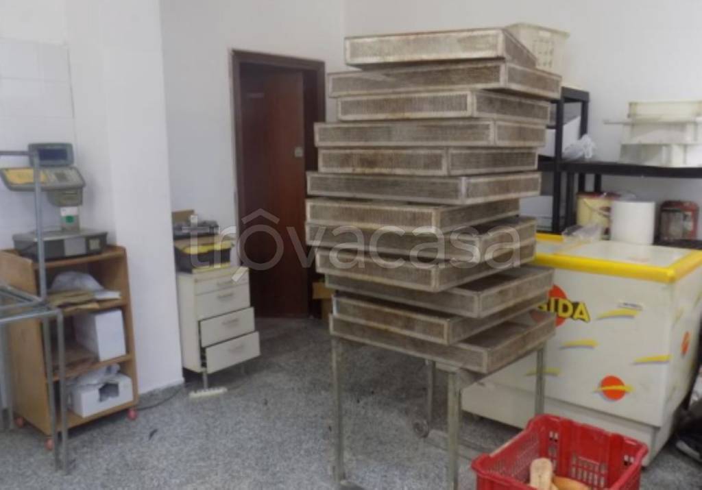 immagine annuncio 9 di 14