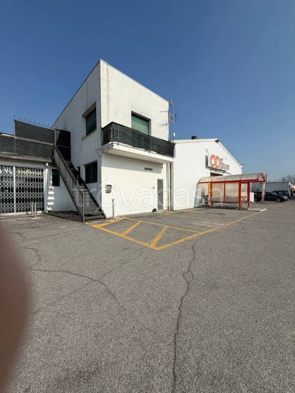 immagine annuncio 4 di 10