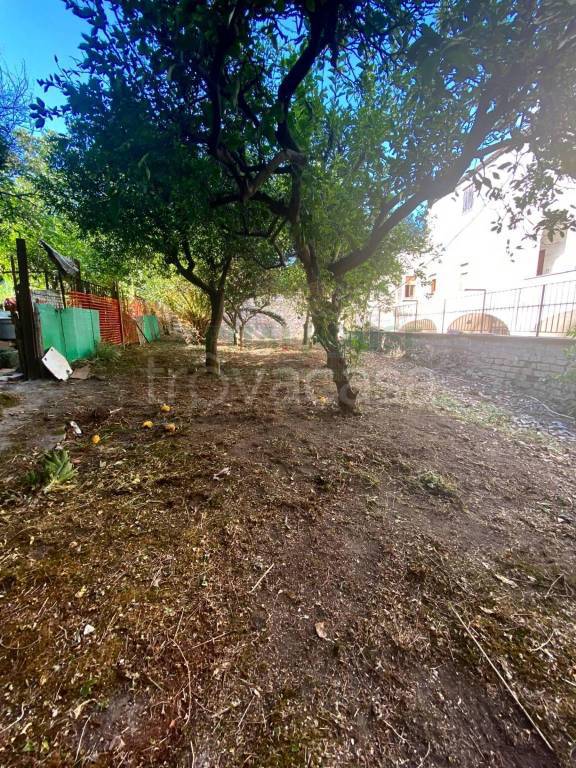 immagine annuncio 7 di 8