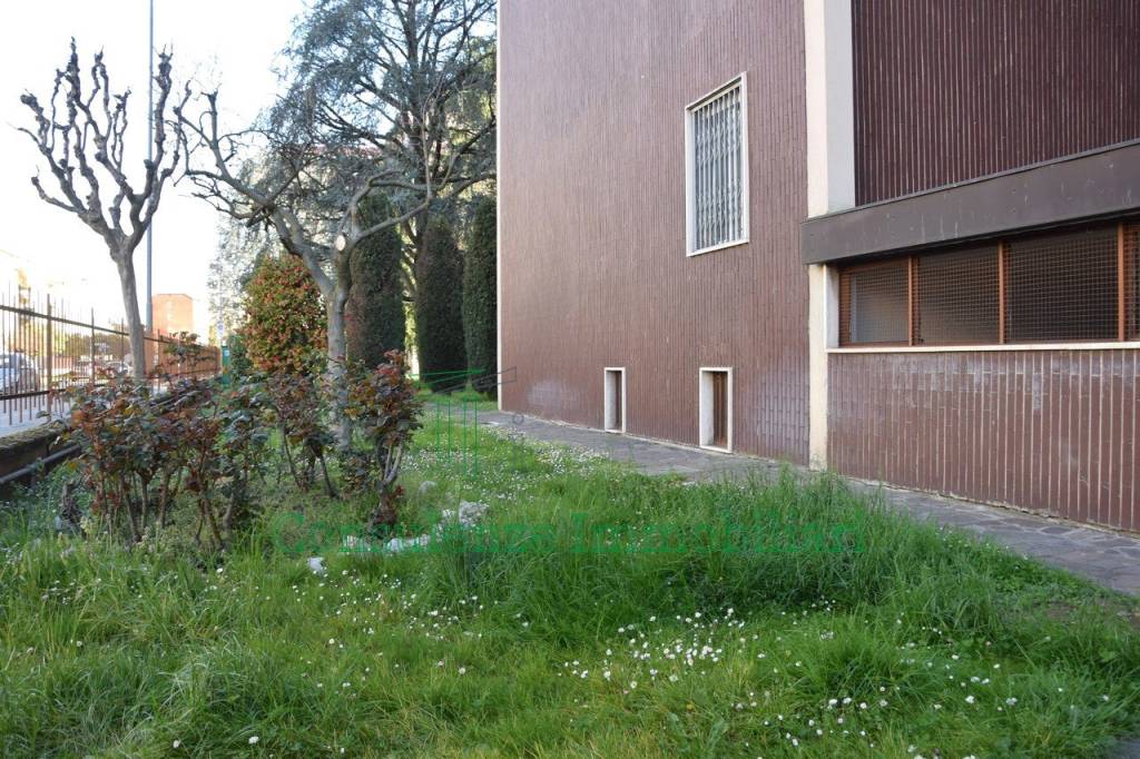 immagine annuncio 11 di 12