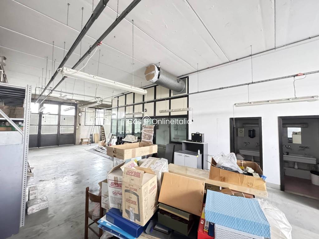 immagine annuncio 4 di 15