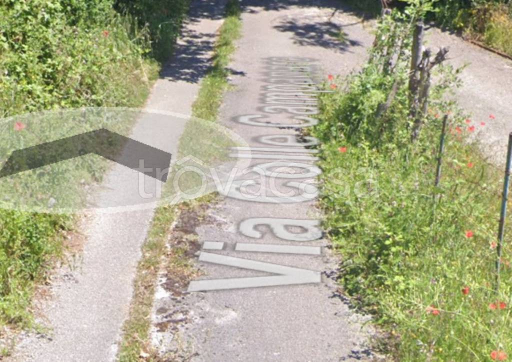 immagine annuncio 7 di 11