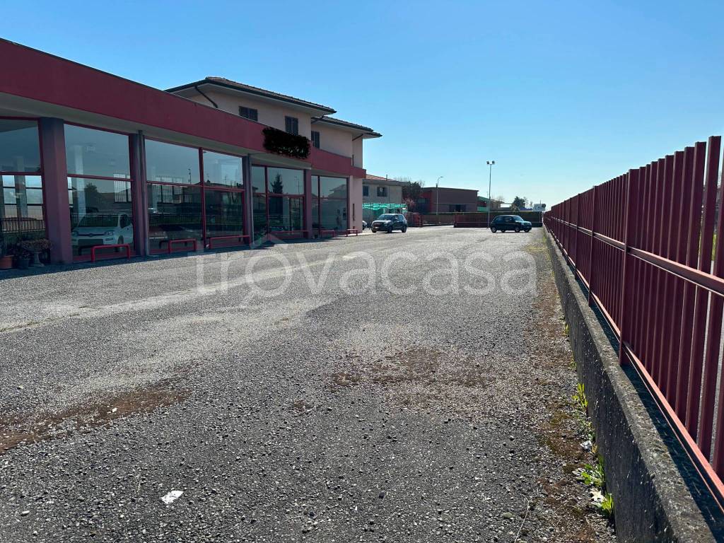 immagine annuncio 3 di 12